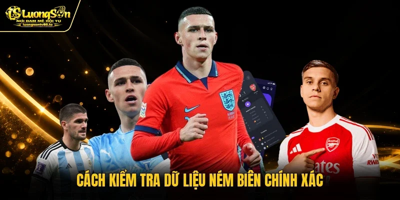 Cách kiểm tra dữ liệu ném biên chính xác