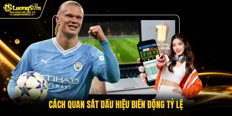 Cách quan sát dấu hiệu biến động tỷ lệ
