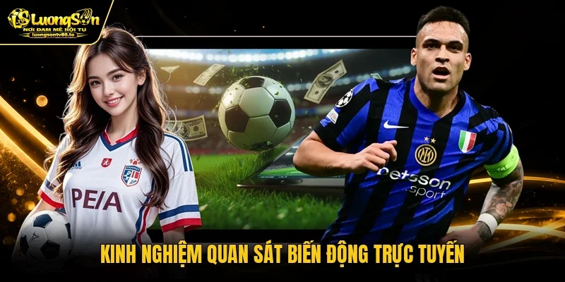 Kinh nghiệm quan sát biến động trực tuyến