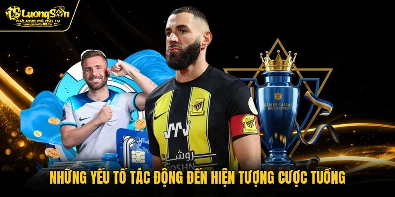 Những yếu tố tác động đến hiện tượng cược tuồng