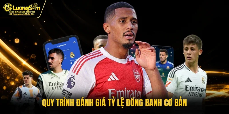 Quy trình đánh giá tỷ lệ đồng banh cơ bản