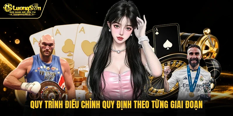 Quy trình điều chỉnh quy định theo từng giai đoạn Quy trình điều chỉnh quy định theo từng giai đoạn