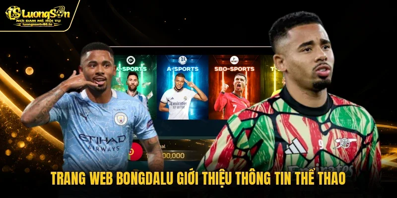 Trang web Bongdalu giới thiệu thông tin thể thao