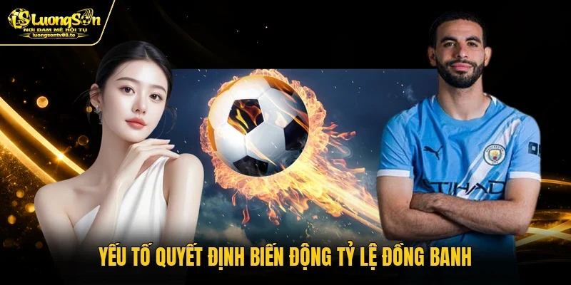 Yếu tố quyết định biến động tỷ lệ đồng banh